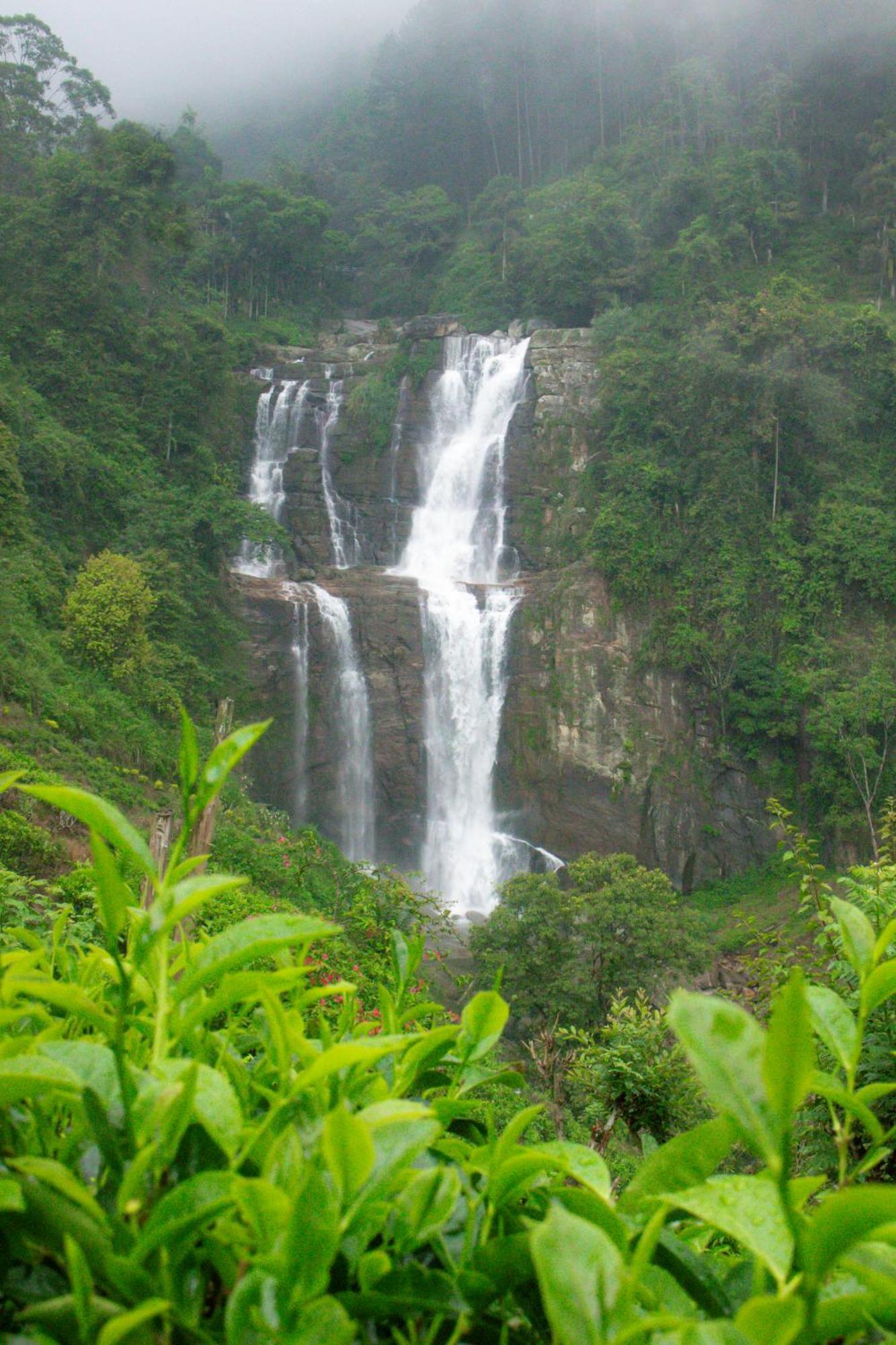 Ramboda Falls Plc Exteriör bild